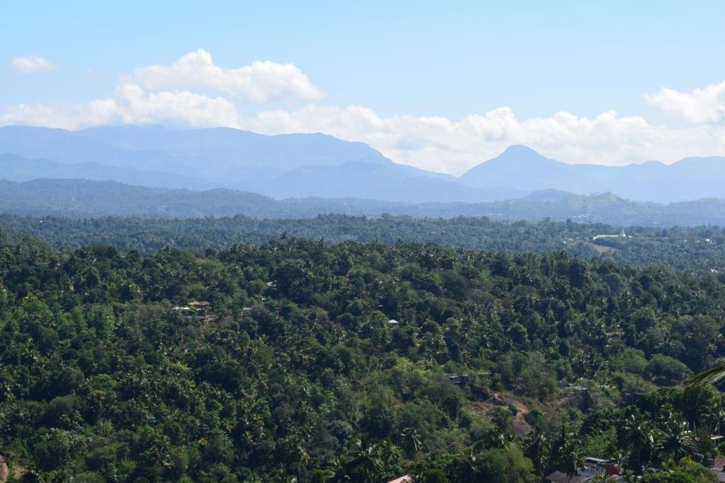 Serenity Hill Oasis Hotel Kandy Exterior photo