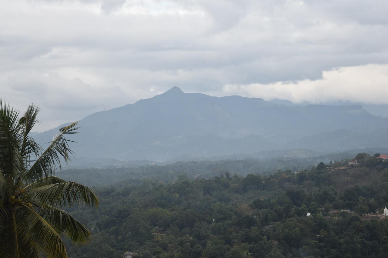 Serenity Hill Oasis Hotel Kandy Exterior photo